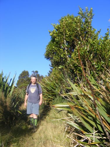 Regenerating bush south of Burns Saddle. Photo supplied 