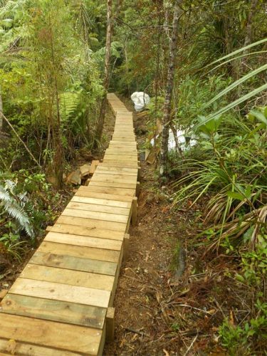 The mud has been banished from Hamilton Track