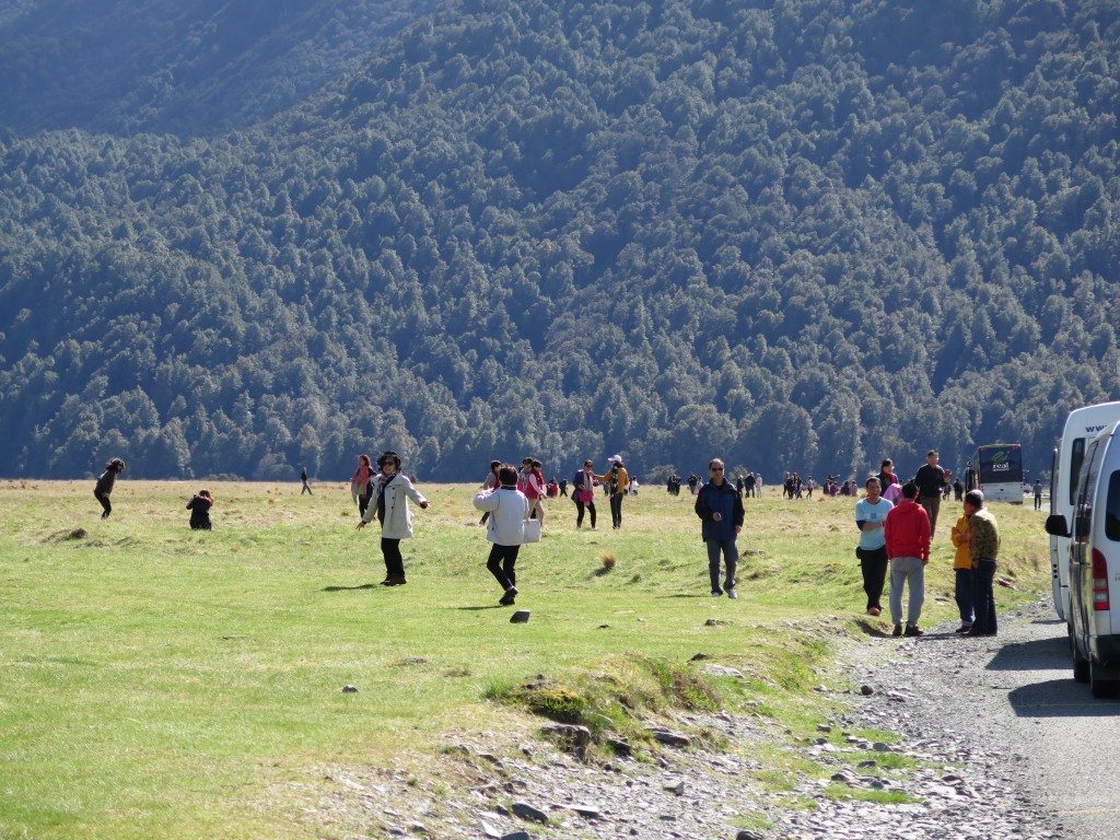 Visitors stretch their legs in the Eglinton Valley off the Milford Highway CREDIT Robin McNeill