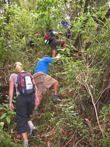 Heading towards the summit from the eastern side 