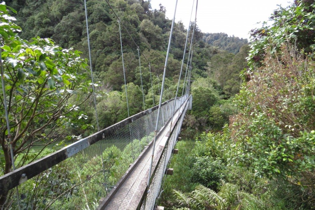 The Hopuruahine Bridge prior to the accident. Photo: DOC