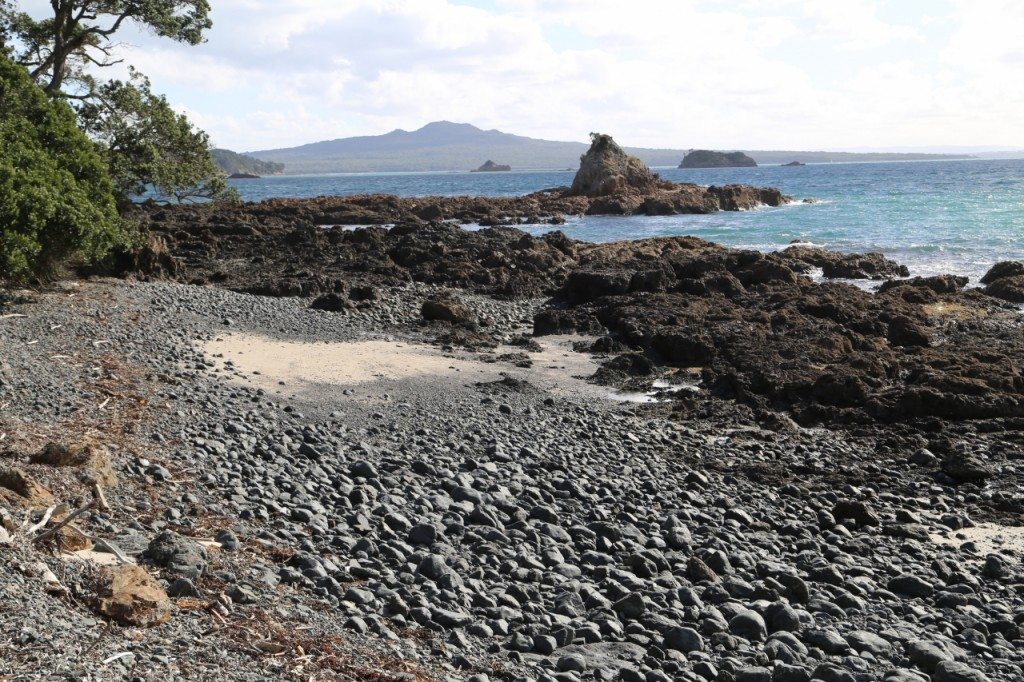 Rangitoto from the coastline near Billy Goat Point on Motutapu Island. Photo supplied