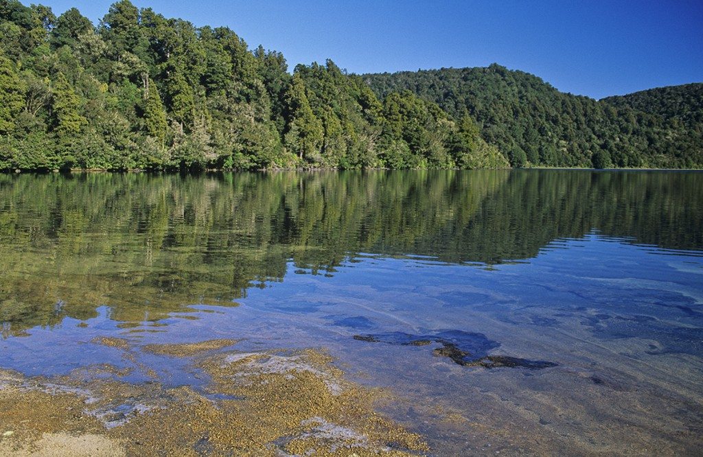 A walk around Lake Rotopounamu takes about 2hr. Photo: Shaun Barnett/Black Robin Photography