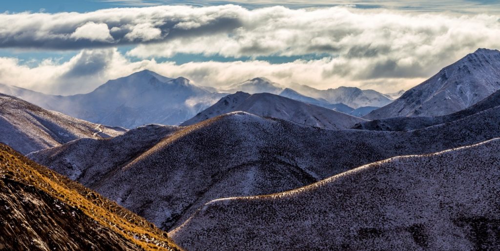 Overall Winner, and above the treeline Winning Shot. PHOTO: Neil Fausett.