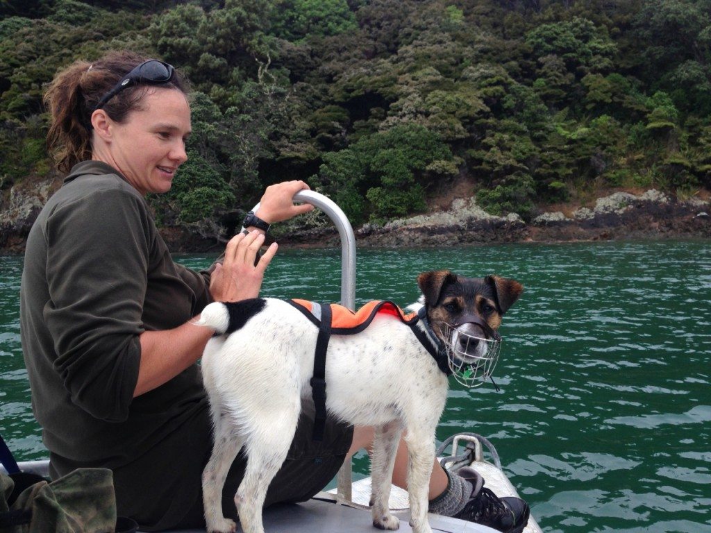 Angela and Macca on their way to another mustelid-detection job