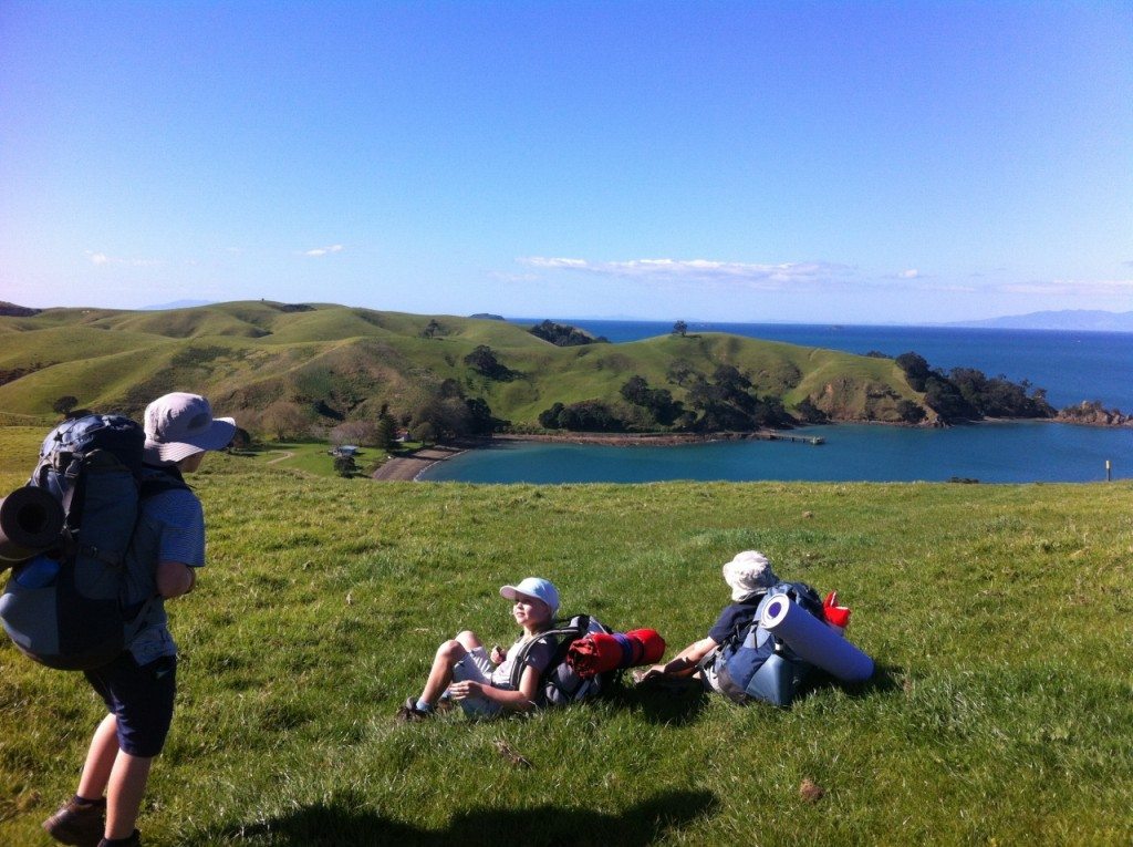 Approach to Home Bay campsite, Motutapu Island