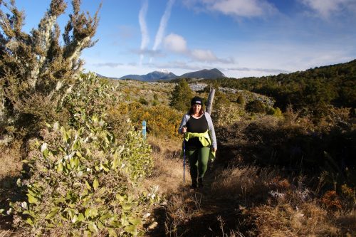 Takaka Hill_Ray Salisbury