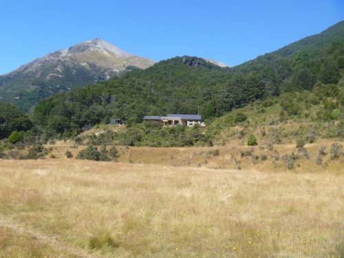 mid-caples by Sharee McBeth