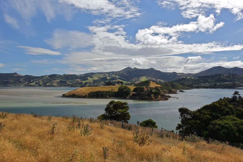 Quarantine Island from the Otago Peninsula. Photo supplied