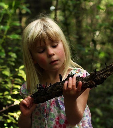Admiring a black fungi while on a treasure hunt for a Kiwi Ranger activity. Photo: Edith Leigh 