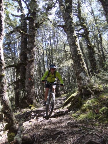 Guy-Wyn Williams: Trail Fund NZ’s Guy Wynn-Williams supports the development dual-use trails