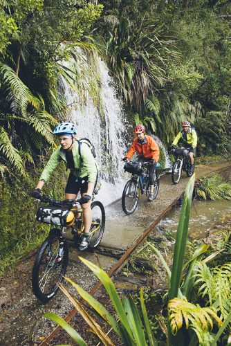 Riding the historic Charming Creek Walkway, an old mining rail route. Photo: Mark Watson