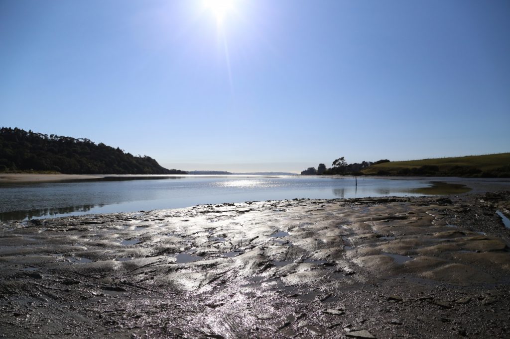 Okura estuary, home to a thriving marine reserve. Photo: Meghan Walker