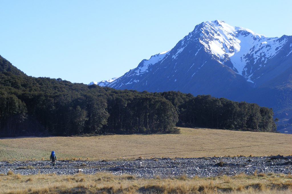 Nearing Canyon Creek, not far from the road end. Photo: David Barnes